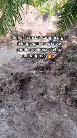 #anaktambang #cctv_alatberat #805_sawit #@dea cyntia🐢 @Kikim🅾️chi @Egisahputraa__ 