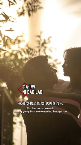 根陪你到老 |Gēn péi nǐ dào lǎo(Akan menemani Anda sampai usia tua)#mandarinsong #lagumandarin #laguviral #yppppppppppppppppppppppp #foryoupage 