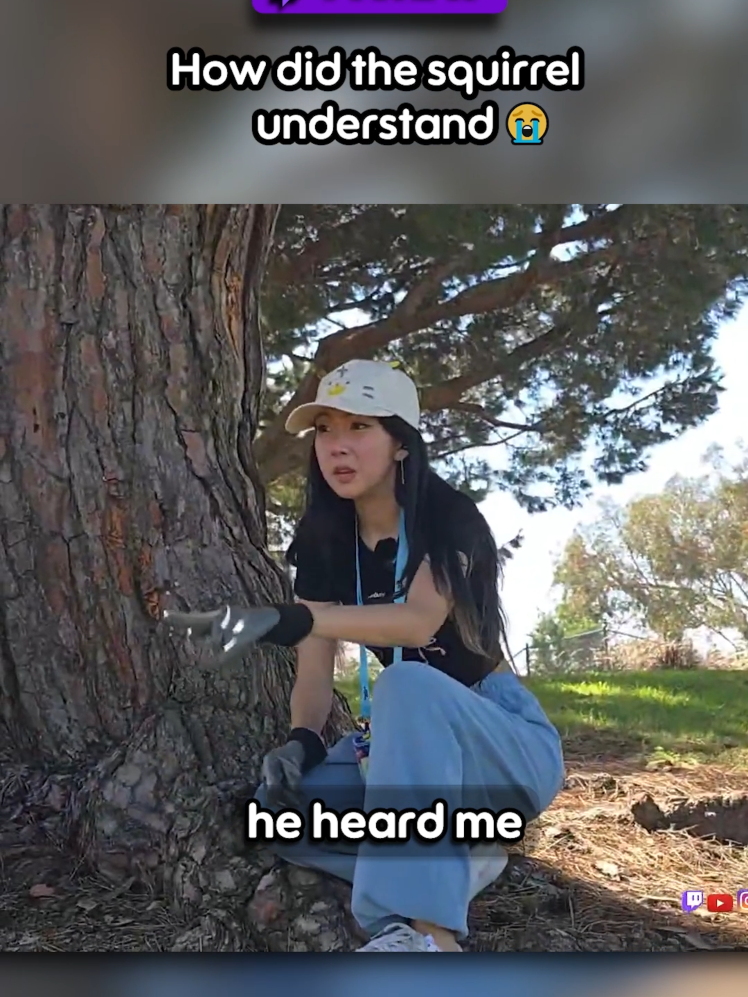How Did The Squirrel Understand?! 💀 #twitchstreamer #twitchclips #australian #funny #aussie #squirrel #wildlife #america #squirrellife #animalslover #funnyclips