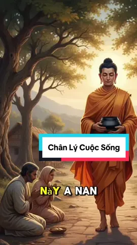 Chân lý thế tôn dạy con người #phậtphápnhiệmmầu #lờiphatday #cuocdoiducphat #chânlycuocsong #thichcamauniphat 