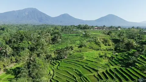 Hopefully this beautiful view will be preserved for our children and grandchildren. Jatiluwih is a village located in Penebel sub-district, Tabanan Regency, Bali province, Indonesia. Jatiluwih is a tourist village, with beautiful panoramas accompanied by terraced rice fields.#dronevideo #djiflip #digitalartist #followers #kontencreator 