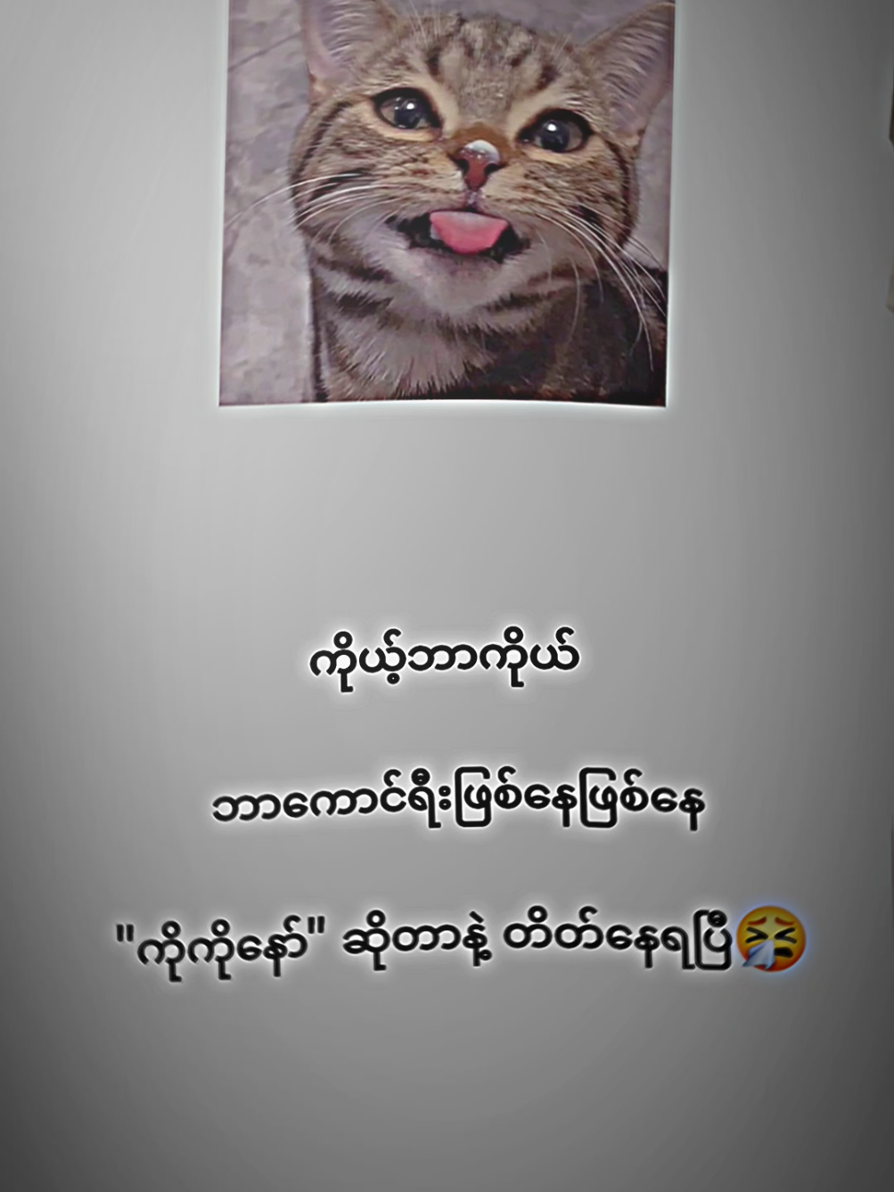 @ခေါ်ကြကွာရှိရင် #ချစ်စရာကောင်းတာတစ်ခုပြမယ်🥺🎀 #fyppppppppppppppppppp #ရောက်ချင်တဲ့နေရာရောက်👌 