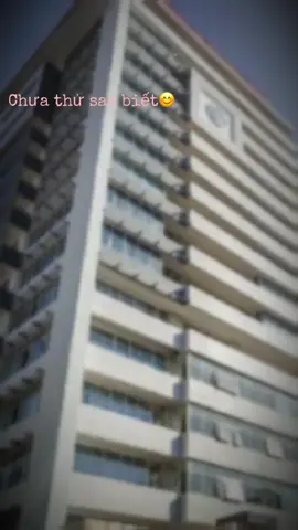 #daihocluathanoi #daihoc 3 năm nữa☺️