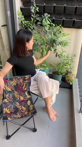 Chăm ngồi chill hẳn #ghedulichgapgon #ghedicau #ghegapgondulich 