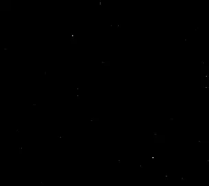 معاذ الشامي 🥹🤍 #quran #قرآن_كريم #قرآن_كريم_راحة_نفسية #قرآن #قرآن_بصوت_جميل 