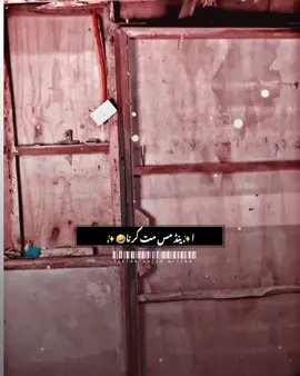 plz don't under review #foryou #foryoupage #fyp #viral #video       hammad  editx50