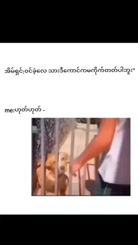 မကိုက်တတ်ပါဘူး😅#fyp #foryoupage #fypage #fypシ゚viral #fyppage 