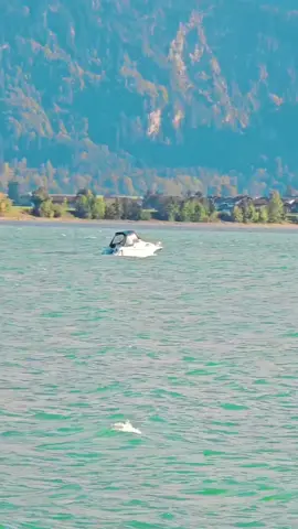 #مامۆستا_سۆران_عبدالکریم #اللهم_صلي_على_نبينا_محمد #المانيا_السويد_النمسا_النروج_دينيمارك #زاخو_دهوك_هولير_سليماني_ئاكري_سيمييل #لمانيا🇩🇪 