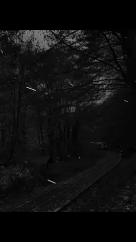 YANAQDAN SÜZÜLEN YAŞDA GÖZELDİ 🖤✋ #abdullayev021 #zelimxanyaqub #şeir #keşfettdeyiz 