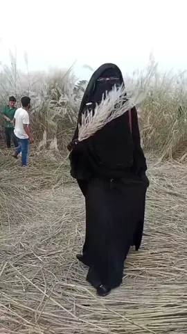 ইনশাআল্লাহ 