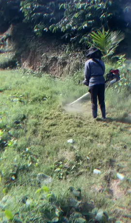 Test thử máy xem như nào 😄