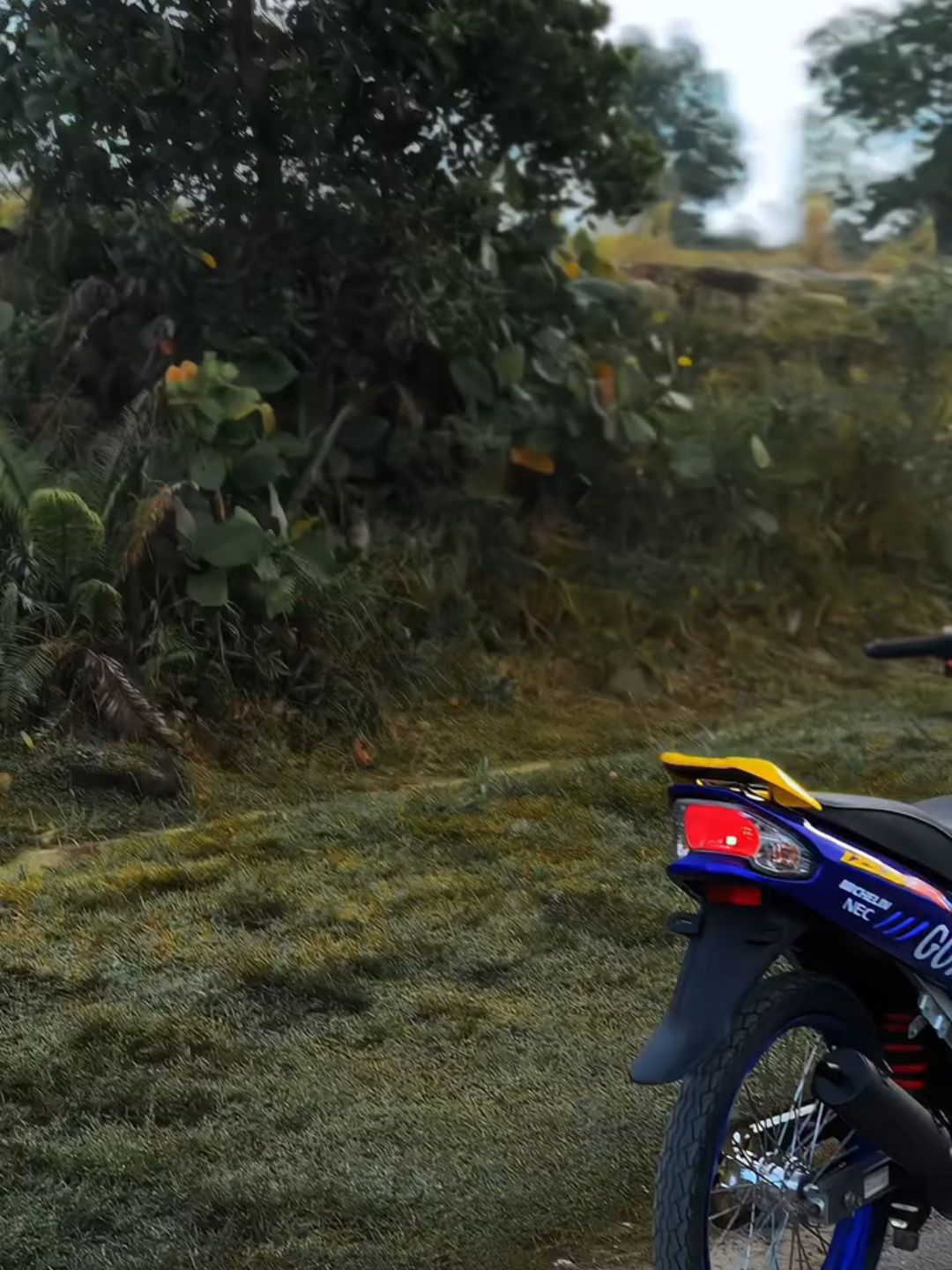 #125Zr #fyp #2stroke