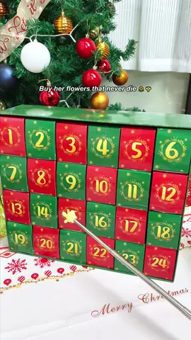 How cool is it 🤩🎄🎁#giftideas #gifts #christmas #adventcalendar #buildingblocks 