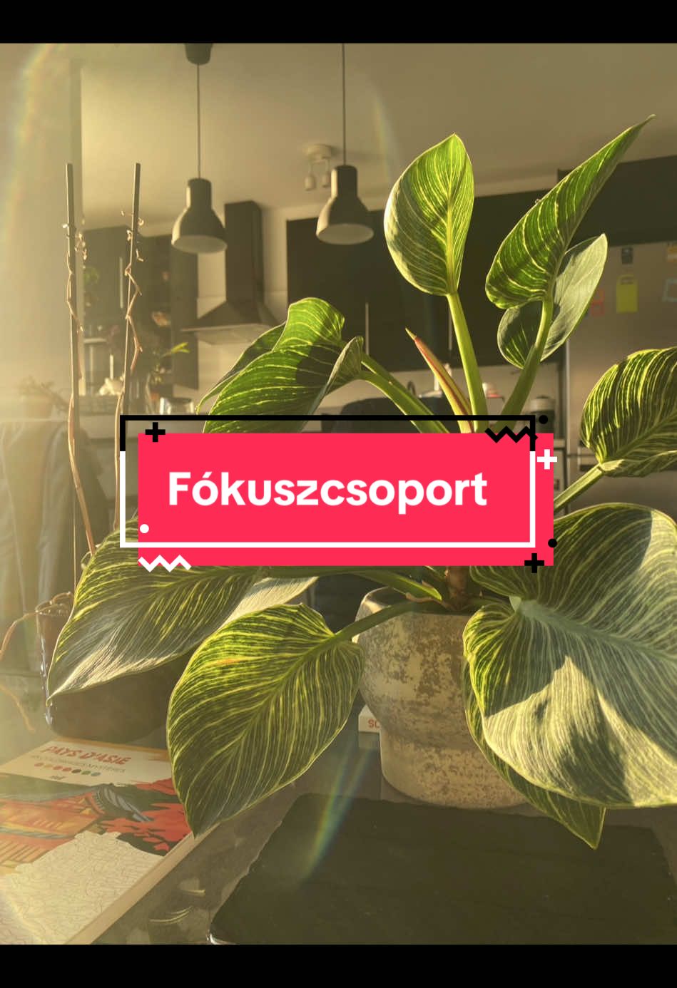 Természetesen senkit nem szeretnék megbántani, de egy ideje fogalmazódik bennem ez a videó🥀 #nekedbelegyen #magyarpolitika #magyarpeter #fokuszcsoport 