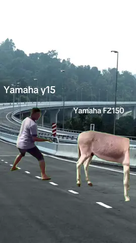 y15 ? Or Fz150 ? #MemeCut #MemeCut #MemeCut #MemeCut #Meme 
