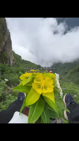 #aabishkar_basnet #fyp 