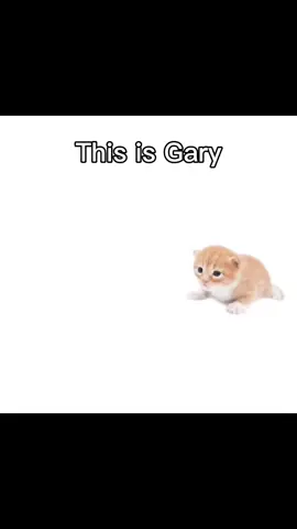Thankyou Gary #gary#daily#shadow#sonic#sega don’t let this flop 🩻