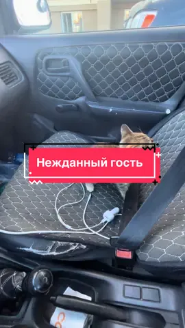 Мини приключения