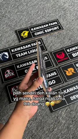 lumayan buat di pintu kamar 🤣  #fyp #fyppppppppppppppppppppppp #esports #evosesports 