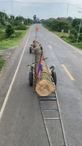 #សិស្សប្អូន#យសមន្រ្តីមានជ័យបារមីលោកតាម្ចាស់ស្រុក ❤️🚣‍♀️