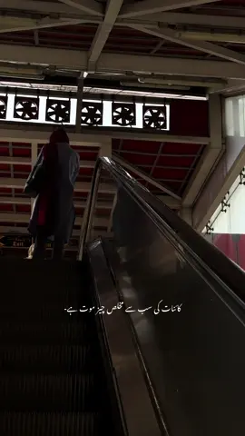 #fyp 