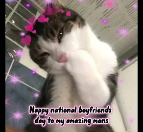 send this to your silly goofy mans for National Boyfriend’s day!!! #capcut #boyfriend #sillykitty #iloveyou #fyp 