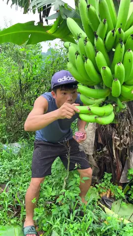 Phần 5| Bụi khế 🥥#mukbang #xuhuongtiktok #xuhuong #viral 
