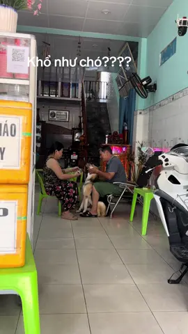 #trend phận làm chó🥰