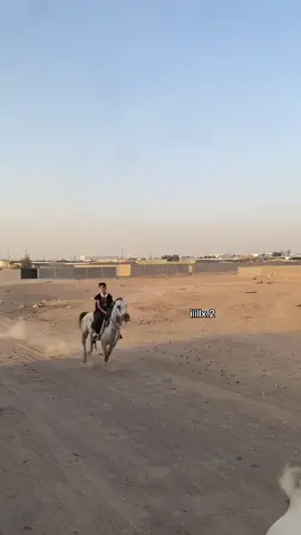 محمد🔥🔥.#خيل_وخياله🐎 #مشاءالله🐎 #مربط الحمراني #مالي_خلق_احط_هاشتاقات🧢 
