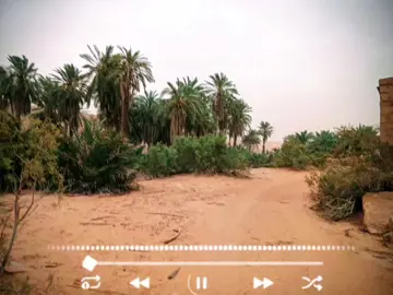 كوني عني ممكون هايلانه #مدح_النبي #لغن_الحساني_الموريتاني🇲🇷 #الشعر #المدح 