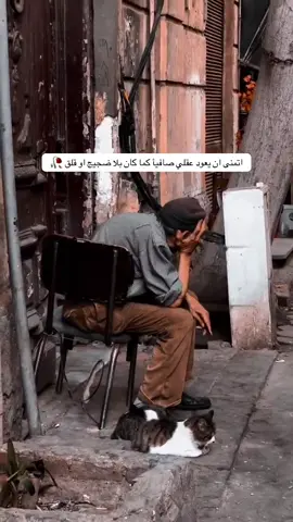 اتمنى ان يعود عقلي صافيأ كما كان بلا ضجيج او قلق 🥀#حسابي_جديد #اكسبلور #اكسبلورexplore #🥹🤍 