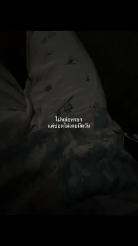 #เธรด #เธรดคำพูด #เธรดความรู้สึก 