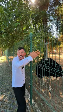 Deve kuşu isyanlarda 🤣