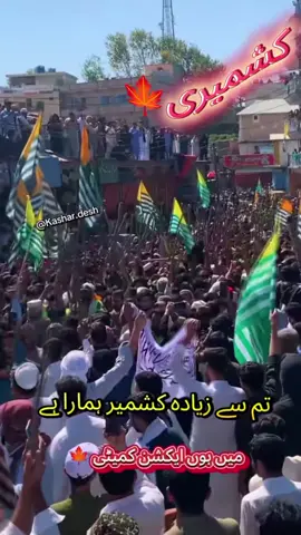 امان کشمیری #مہران کشمیر ی شوکت# نواز کشمیری# عمر نذیر کشمیری#ilovemykashmir🍁✌🏻🍁 #kashmiri #کشمیری
