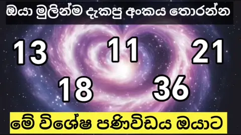 🌟 ඔයා කැමති අංකයක් තෝරන්න — ඒ අංකයට ලැබෙන විශ්වයේ විශේෂ පණිවිඩය දැනගන්න! 🌟 #lowofattraction #universe #tarotreading #foryou #trending #blessings #moneyattraction #moneyblessing #universemother 