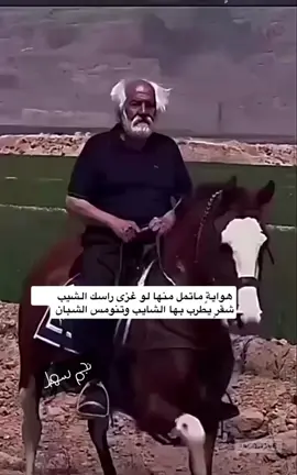#نجران #قصايد #خيل_وخياله🐎 #الشعب_الصيني_ماله_حل😂😂 #tiktok 