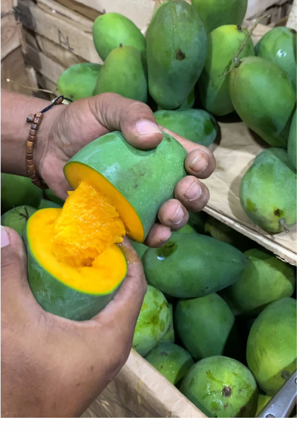 Special edition mangga alpukat situbondo jawa timur😍#tiktok #jangkauanluas #trending #fyp #foryoupage 