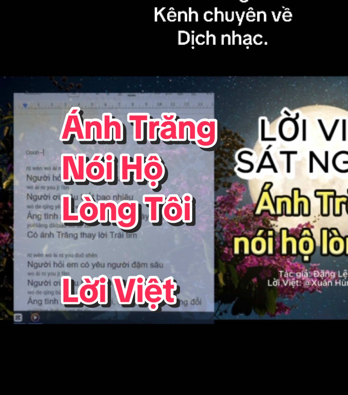 Ánh Trăng nói hộ lòng tôi lời việt cover vietsub lyrics đặng lệ quân nhạc hoa lời việt nhạc hoa bất hủ nhạc trung quốc #music 
