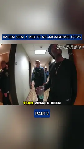 P2 #foryou #cops #usa #police #tiktok 
