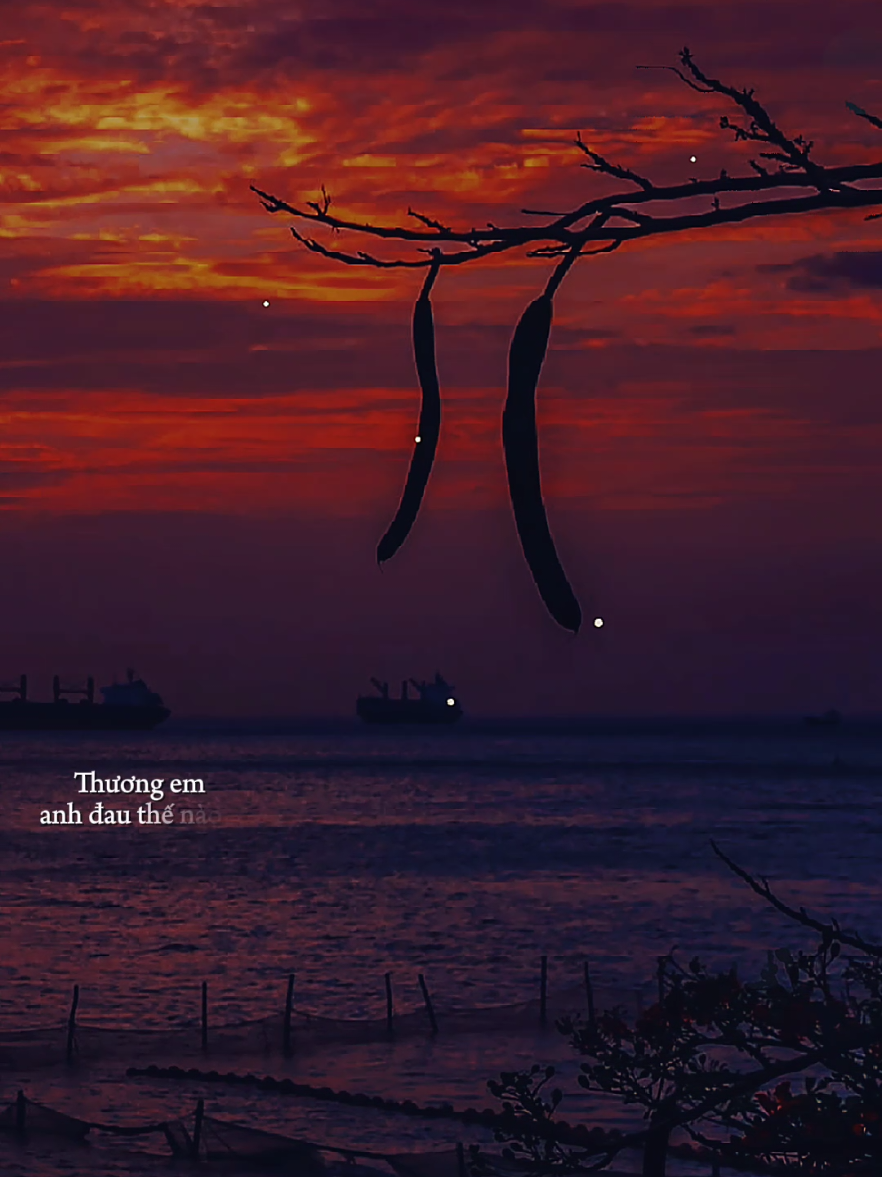 Tận sâu trong đôi mắt anh thấy những đắng cay thương em anh đau thế nào... [ Mảnh Tình Sai Đôi ] #manhtinhsaidoi  #nhacbuontamtrang  #tramcamxuc  #maucapcut  #thanham1991 