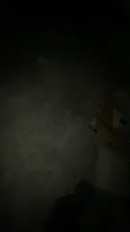 #عشوائيات🤍 