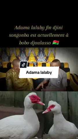 @mahamadoucoulibaly111 
