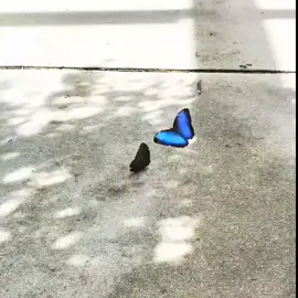 #اقتباسات 🤍🤍