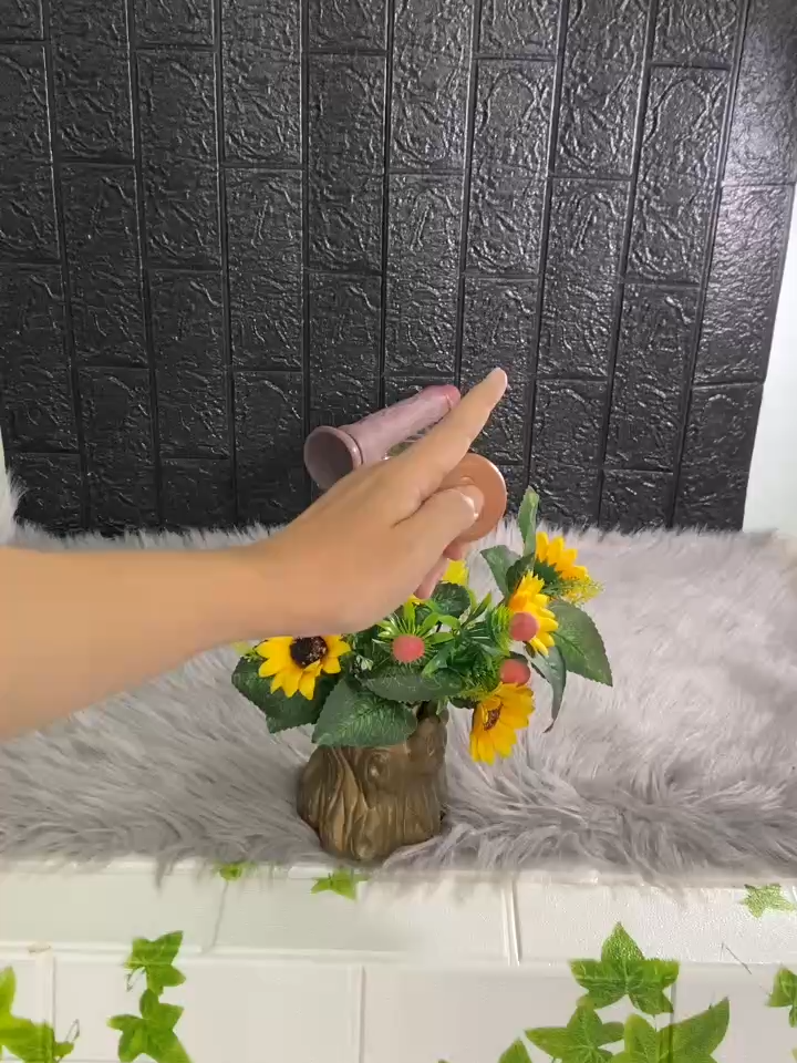 #caicugiazung #cugiazung #cuza #giaitri #nguoilon #xuhuong #codon