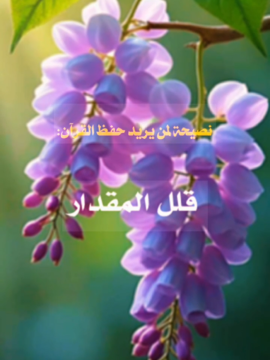 #هذاالعتاد#القران_الكريم#أناشيد_بدون_موسيقى_نشيد_أكسبلور_ترند 