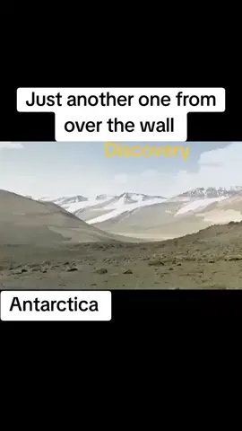 #icewall #antarctica #foryou #