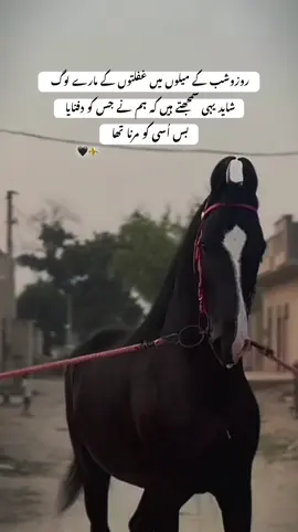 اپنے اللہ کو یاد کرو جس کی طرف ہمیں لوٹنا ہے ایک دن 💯#unfreezemyacount #foryoupage❤️❤️ #Allah 