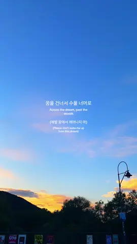 Take my hands now  Euphoria—Jungkook Lyrics  #jungkook #euphoria #bts #lyrics #fyp #sky 