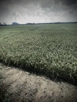 隻小手遮不住所有的陽光，一小步遮不住每個人的心。 