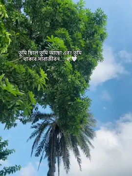 তুমি ছিলে আছো এবং তুমি থাকবে সারাজীবন...!🕊🤍 #ahmedzariyan0.1 #foryou #viralvedio #100kviews 